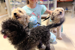 Clínica Veterinaria Huellas Pudahuel