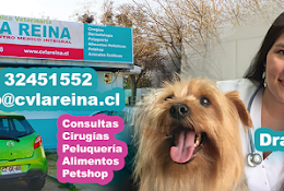 Clínica Veterinaria La Reina