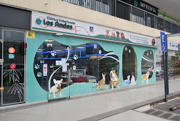 Clínica Veterinaria Los Andes Sucursal San Carlos De Apoquindo