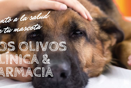 Clínica Veterinaria Los Olivos