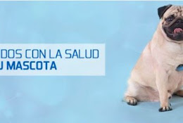 Clínica Veterinaria Lyon