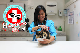 Clinica Veterinaria Mascotas