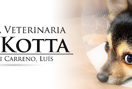 Clinica Veterinaria Mc Kotta
