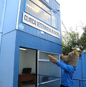 Clínica Veterinaria Municipal, Mulchén