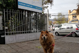 Clínica Veterinaria Nervet