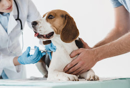 Clínica Veterinaria Nuestros Hermanos Menores