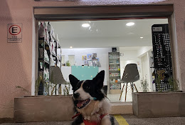 Clínica Veterinaria Nueva Costanera