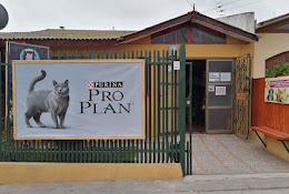 Clínica Veterinaria Pata's