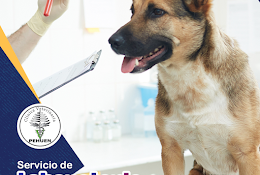 Clinica Veterinaria Pehuen Freire