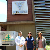Clinica Veterinaria Pehuen Latorre