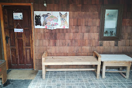 Clinica Veterinaria Pillin