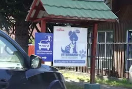 Clínica Veterinaria San Francisco Coyhaique