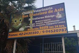Clínica Veterinaria San Francisco De Asis Chillán