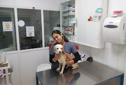 Clínica Veterinaria San Miguel