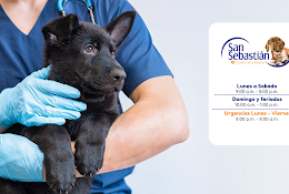 Clinica Veterinaria San Sebastián Quillota