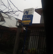 Clinica Veterinaria Santa Bárbara Curicó