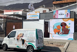 Clínica Veterinaria Sebanic Mascotas Rancagua