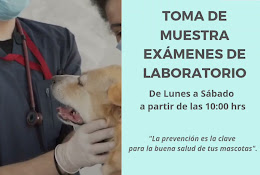 Clinica Veterinaria Tamarugal