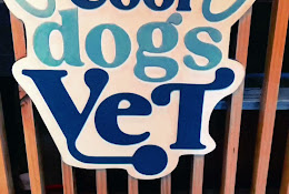Clínica Veterinaria The Cool Dogs Vet