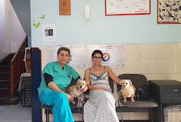 Clínica Veterinaria Tobalaba