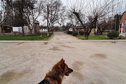 Clinica Veterinaria Unab