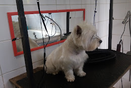 Clínica Veterinaria Vasca
