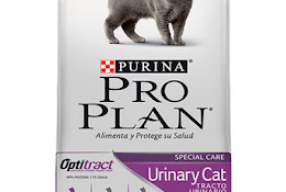 Clínica Veterinaria Vet Health Quilpué
