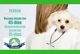 Clínica Veterinaria Vet Help