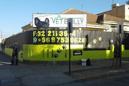 Clínica Veterinaria Vetbailly
