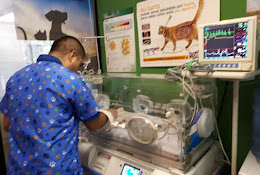 Clínica Veterinaria Vet's Care