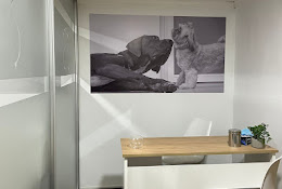 Clinica Veterinaria Vetvita
