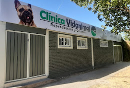 Clinica Veterinaria Vidanimal