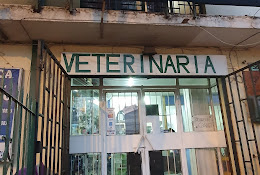 Clinica Veterinaria Vivir Mejor