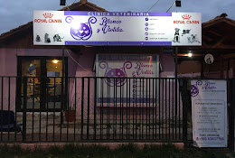 Clínica Veterinaria White And Violet