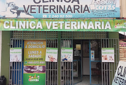 Clínica Veterinaria Zoolomascotas
