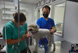 Clinica Y Farmacia Veterinaria Centro Animal