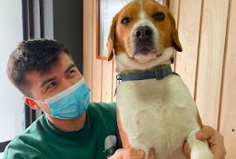Consulta Veterinaria Chucao’s Petshop