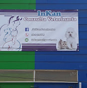 Consulta Veterinaria Inkan