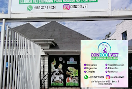 Conzoolvet Veterinaria Exóticos