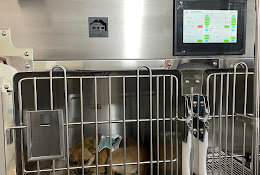 Cvm Centro Veterinario Municipal