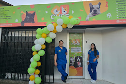 Cvse Centro Veterinario & Spa Enredados