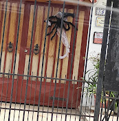 Del Valle Garcia Gerardo