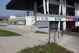 Dr. Pet Clínica Veterinaria Lo Barnechea