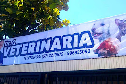Dr. Q. Veterinario