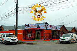 El Perro Loco Coronel Veterinaria