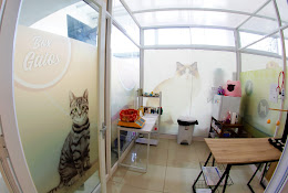 Ever Pet Clínica Y Hospital Veterinario