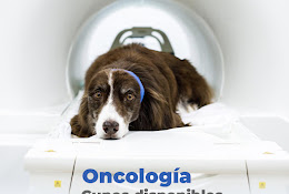 Fedeltà Mascotte ~ Mascota Leal