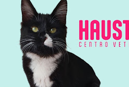 Haustiere Centro Veterinario