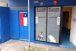 Helpets Veterinaria Y Farmacia