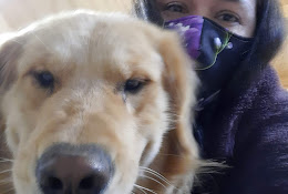 Hipets Veterinaria